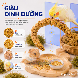 Kê chùm cho Hamster Chim Vẹt