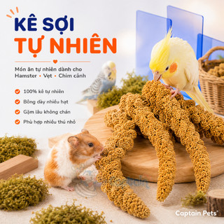 Kê chùm cho Hamster Chim Vẹt