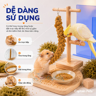 Kê chùm cho Hamster Chim Vẹt
