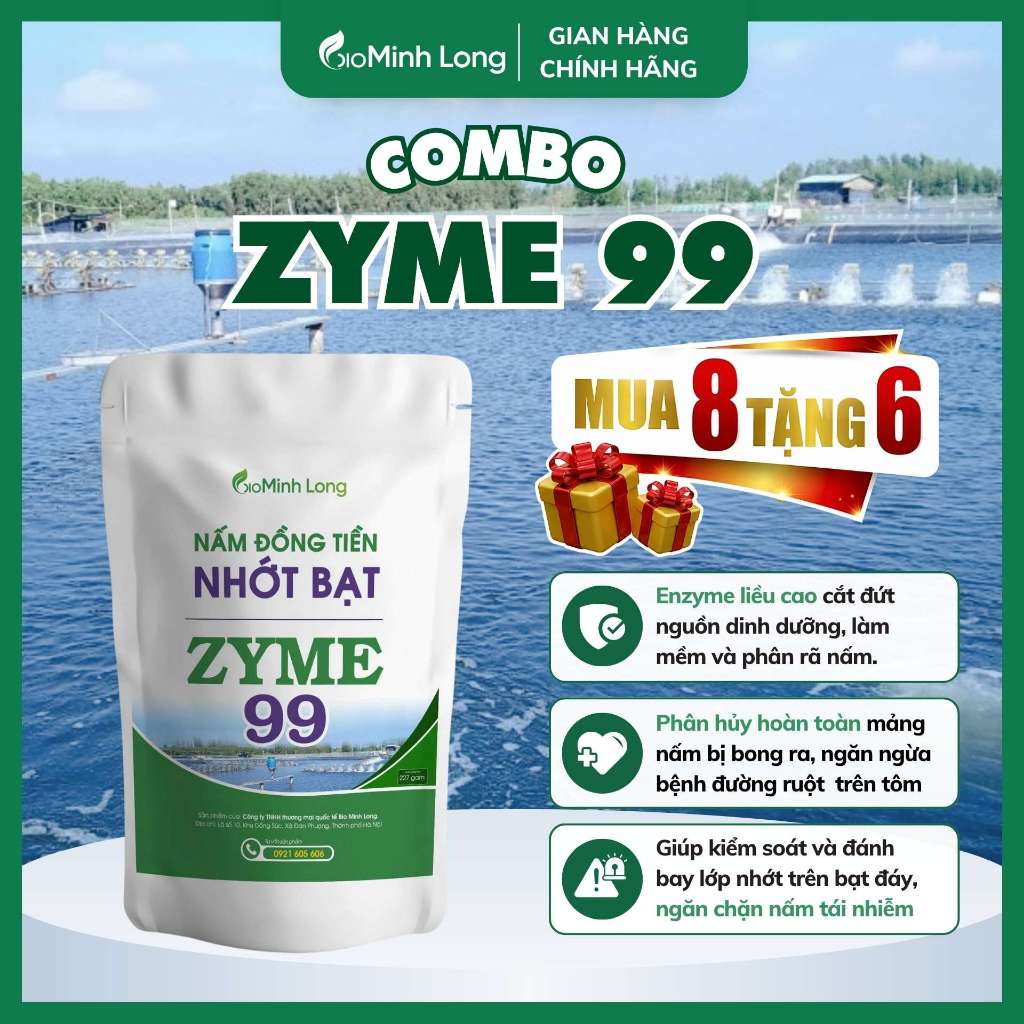 Combo 8 Tặng 6 Zyme 99 | Bio Minh Long Chính Hãng – Xử Lý Nấm Đồng Tiền, Nhớt Bạt, Nước Ao