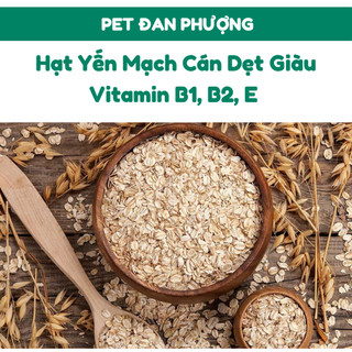 Hạt Yến Mạch Giàu Vitamin B1,B2,E giúp Tăng Cường Sức Khỏe Tim Mạch dành cho Thỏ, Hamster, Sóc, Bọ Ú, Chim,...