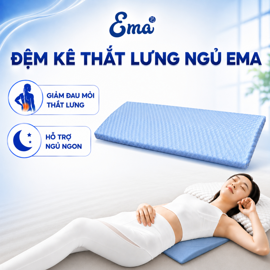 Gối kê lưng thoát vị đĩa đệm Ema, Ruột  PU Foam vỏ dệt kim, dễ dàng vệ sinh, kê lưng dành cho bà bầu
