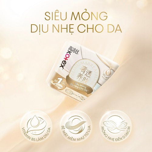 Combo 8 Băng vệ sinh Cicada + Combo 5 Băng quần Kotex Silky Cicada Êm mềm siêu mỏng size M/L