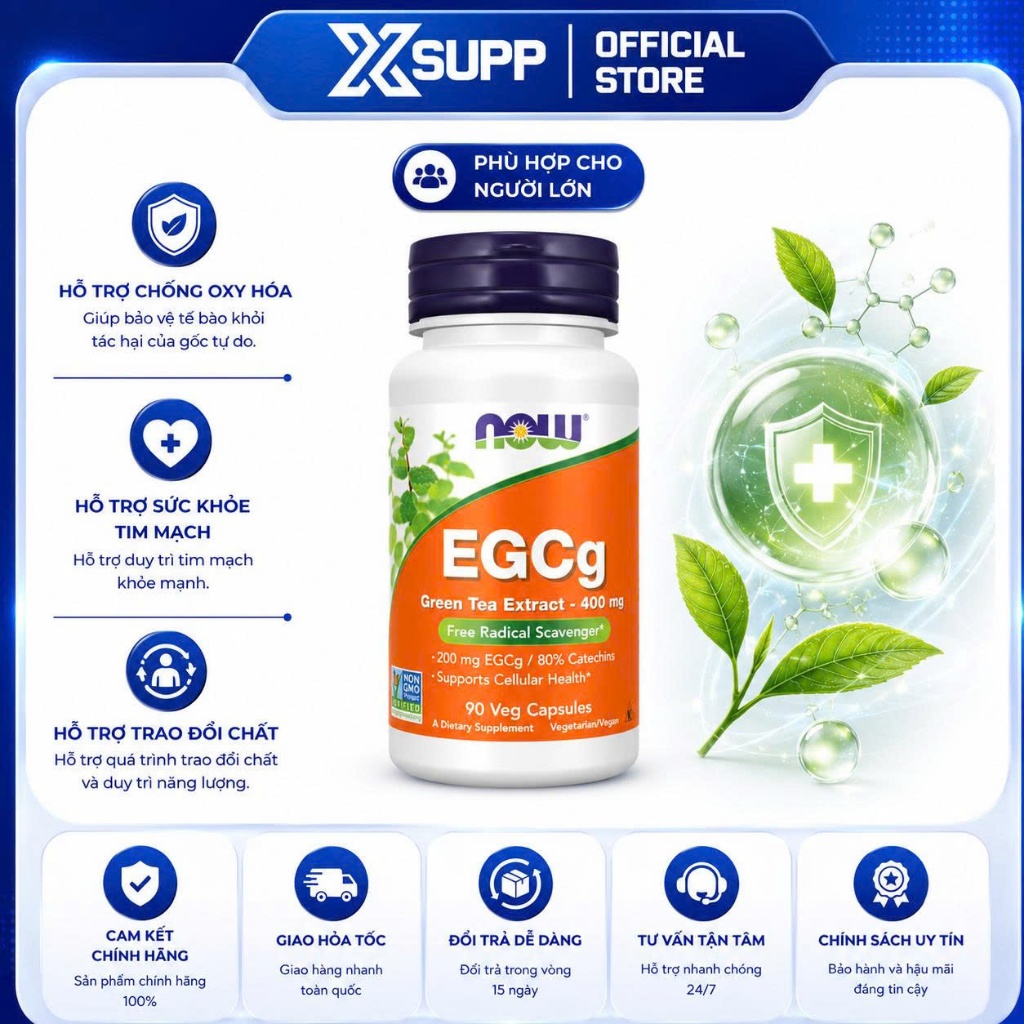 Now Foods Green Tea Extract 400mg 90 Veg Capsules