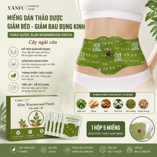 Miếng dán thảo dược giảm béo , giảm đau bụng kinh [ 1 HỘP 5 MIẾNG ] HGHOME
