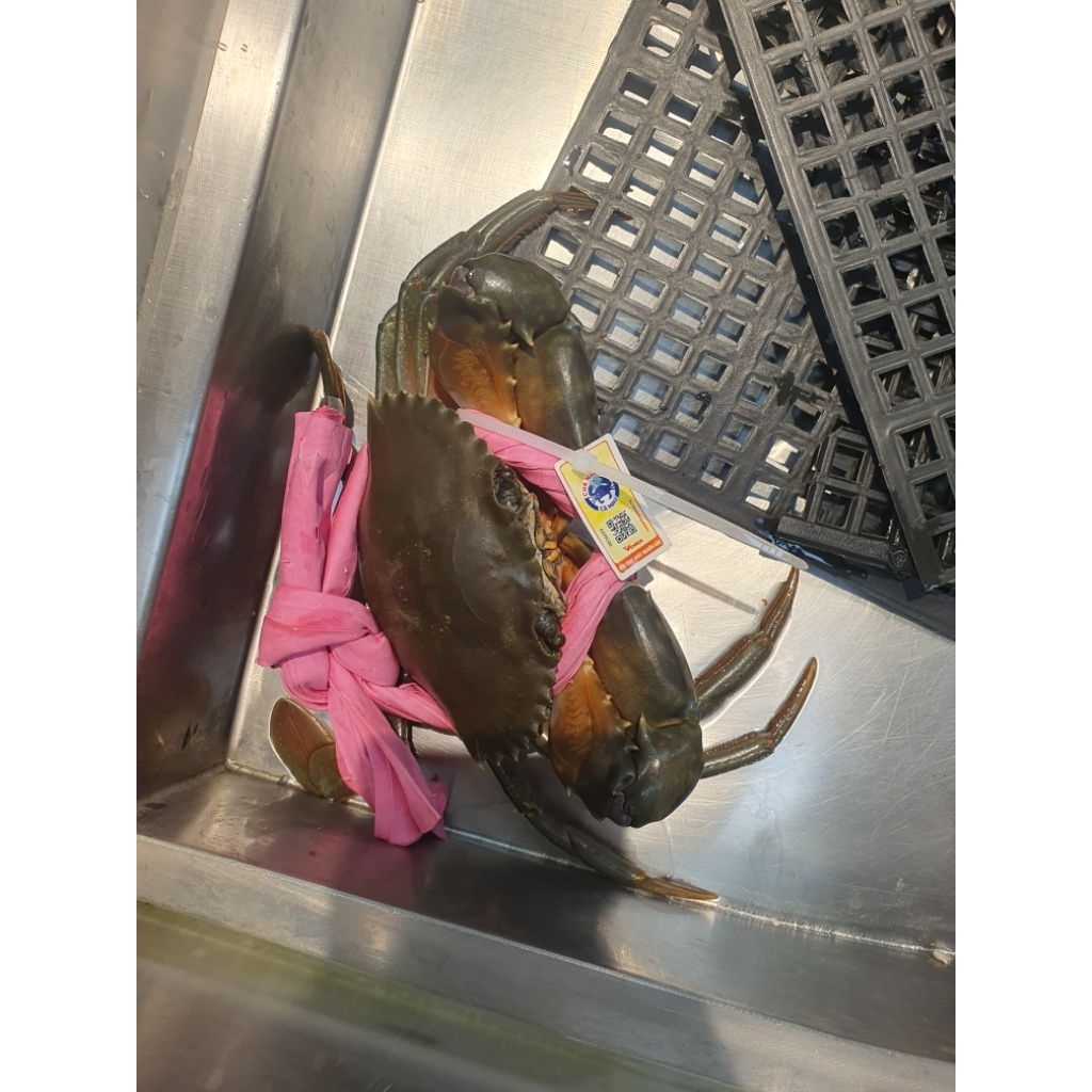 Sách lẻ 1kilo
