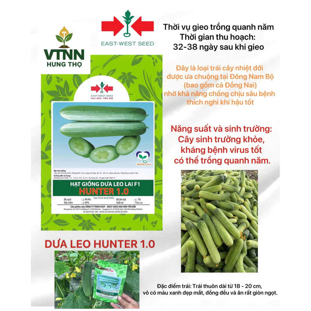 DƯA LEO 1.0 2MT - gói 10Gram