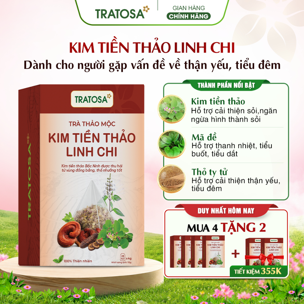 Trà kim tiền thảo linh chi TRATOSA trà thảo mộc tốt cho người thận yếu, tiểu đêm, sỏi thận an toàn t