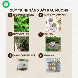 Cây Rau Mương Khô 1kg Loại 1 – Hàng Mới Đẹp, Sạch, Thảo Mộc Tự Nhiên, Dễ Pha Trà