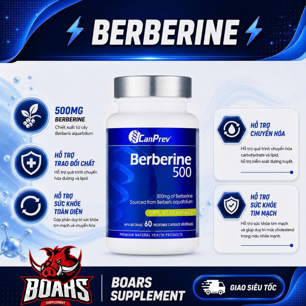 CanPrev Berberine 500mg Bổ Sung Berberine Nguồn Gốc Thảo Mộc