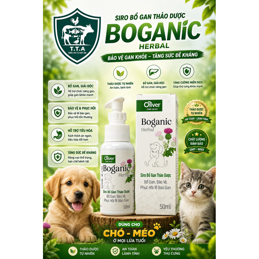 Oliver Boganic Herbal Siro, Bổ gan, bảo vệ và phục hồi tế bào gan Thảo Dược, một loại siro bổ gan dà