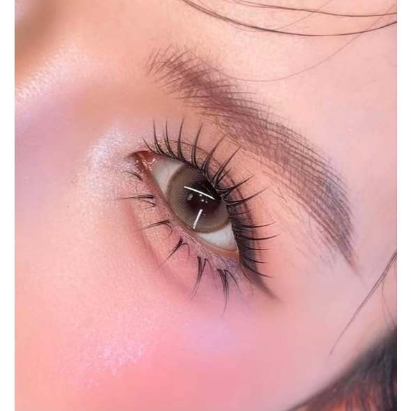 [Combo Mi Douyin] Bộ Lông Mi Giả Cụm Mi Trên X46 & Mi Dưới X61 MUSE -  Mở Góc Mắt Búp Bê - OANH BEAU