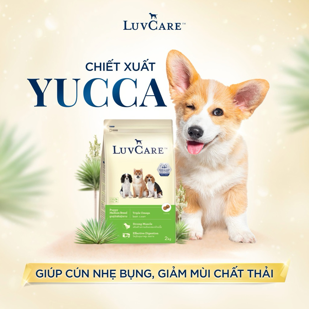 LuvCare Puppy Medium Breed - chó con giống trung bình