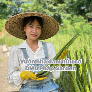 2kg bẹ nha đam Mỹ hữu cơ tại Diệu Pháp Garden dày, giòn, tươi. 3 bẹ /kg trên 3-5 năm tuổi