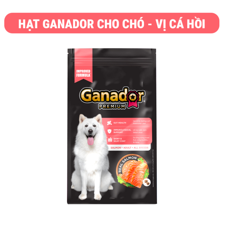 [3kg] Ganador vị cá hồi và gạo Adult with Salmon & Rice 3kg - Chubby Mew