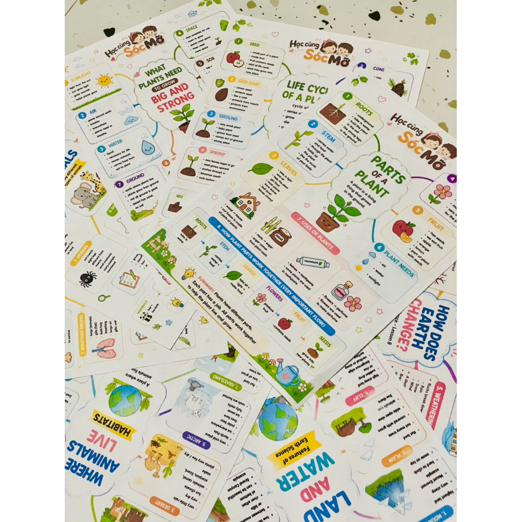 🧠 Mindmap American Textbook Reading for Science 01 – Tài liệu photocopy dạng A4