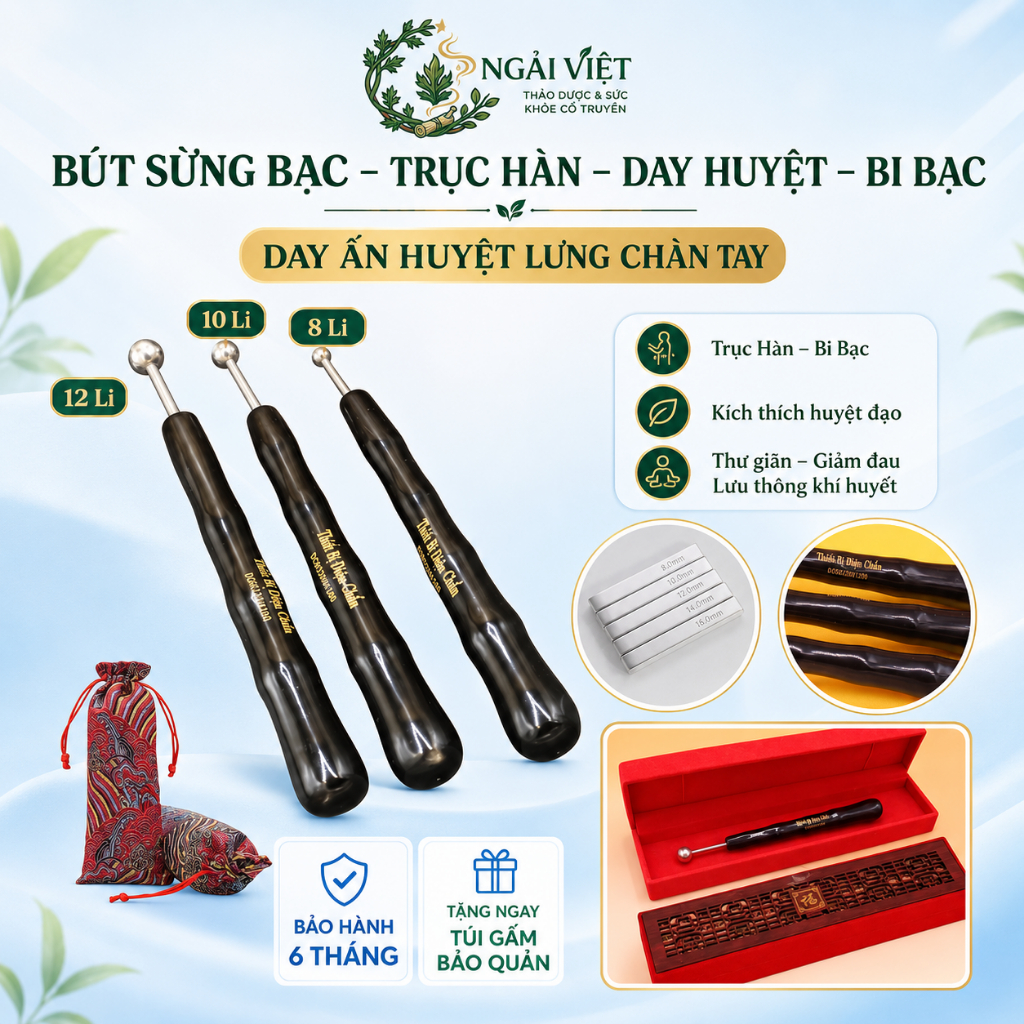 Chày Sừng Bi Bạc Diện Chẩn - Bạc 95 Chuẩn Y Tế - Bi Bạc 8Li - 10Li - 12Li - Cạo Gió - Đánh Hàn - Dụn