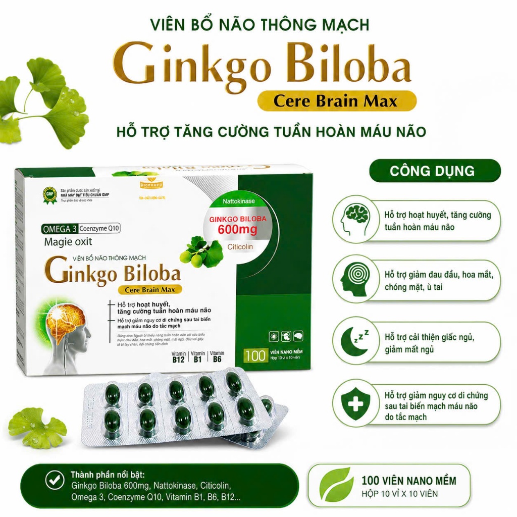 Viên Bổ não Thông Mạch Ginkgo Biloba 600mg- Giúp hoạt huyết dưỡng não. Hộp 100 viên