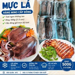 Mực lá mino khay 500g 2_3 con. (giao hoả tốc)