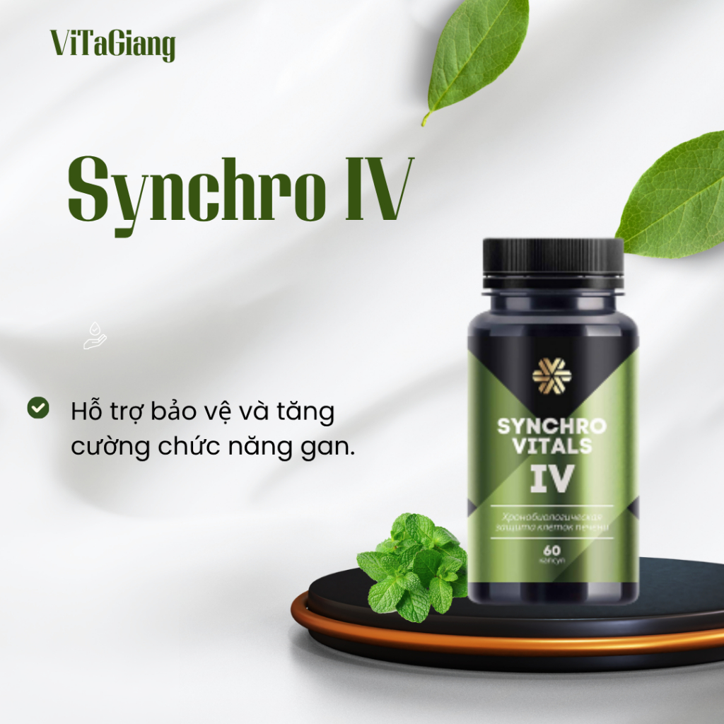 [Hỗ trợ gan]  Syn 4 - Thực phẩm bảo vệ sức khỏe Synchrovitals IV siberian – 60 viên