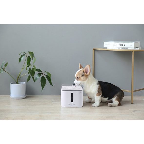 Máy lọc uống nước tự động Petkit EverSweet 2S cho chó mèo Petkit