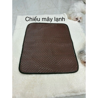 Chiếu điều hòa cho thú cưng