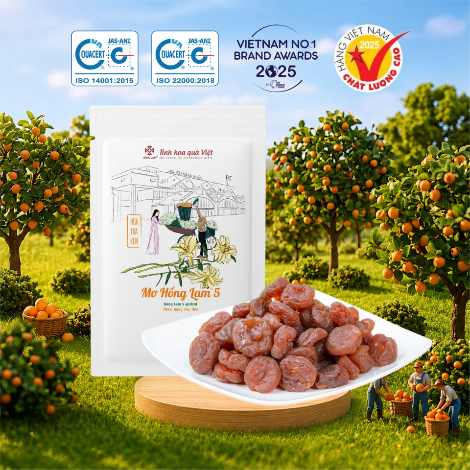 Ô Mai Mơ Hồng Lam 5 - Ô Mai Mơ Dẻo Thơm, Túi 60g