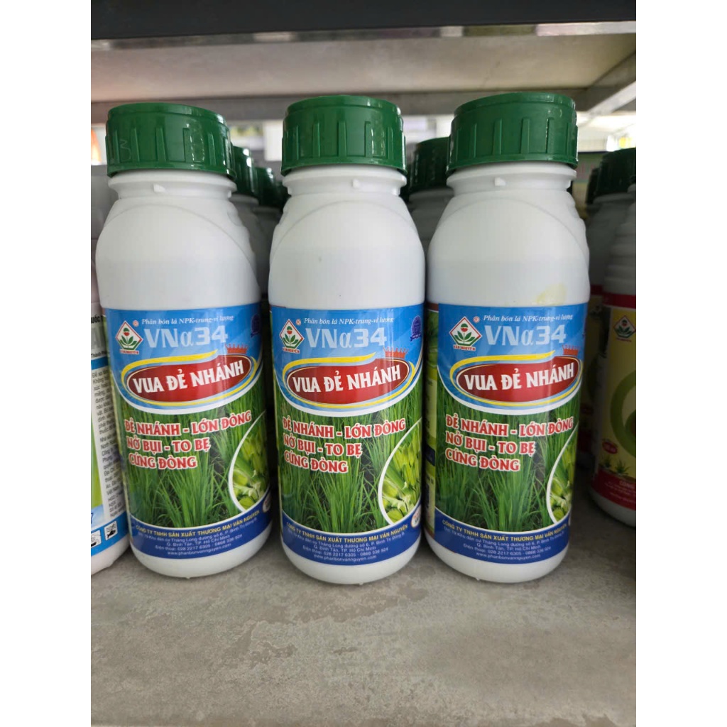 Vua Đẻ Nhánh- Nỡ bụi- Ra rễ