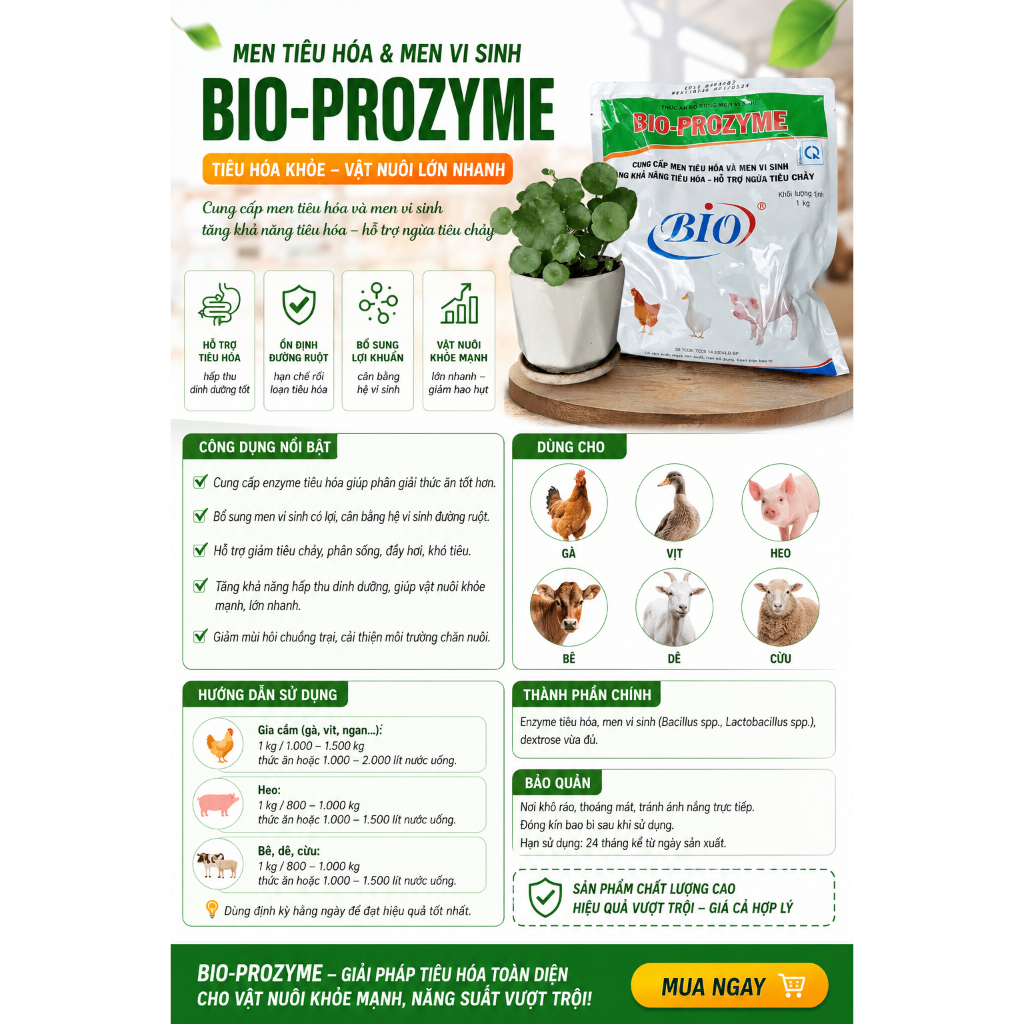 Men tiêu hóa/ Men vi sinh Bio-Prozyme