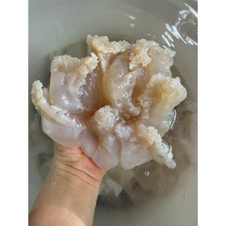 Sứa Chùm nhạt ăn liền 500gr ( k tính nước)