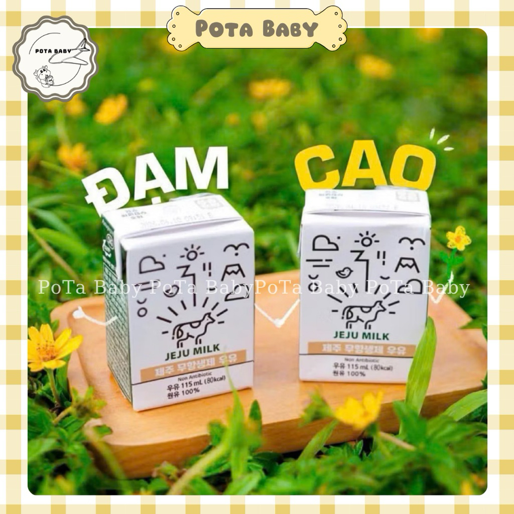 [HÀNG AIR] Sữa tươi không kháng sinh Jeju milk 115ml canxi cao Hàn Quốc