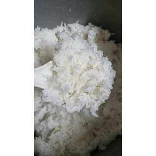 (5kg) Gạo ST25 lúa tôm Sóc Trăng - dẻo nhiều, thơm ngon, đặc sản sạch cao cấp