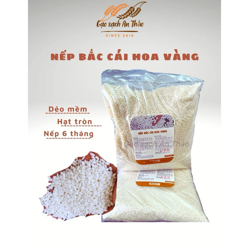 [1kg/ 5kg] Nếp Bắc Cái Hoa Vàng  – nếp 6 tháng dẻo thơm ,hạt tròn nhỏ, chuẩn vị ngon