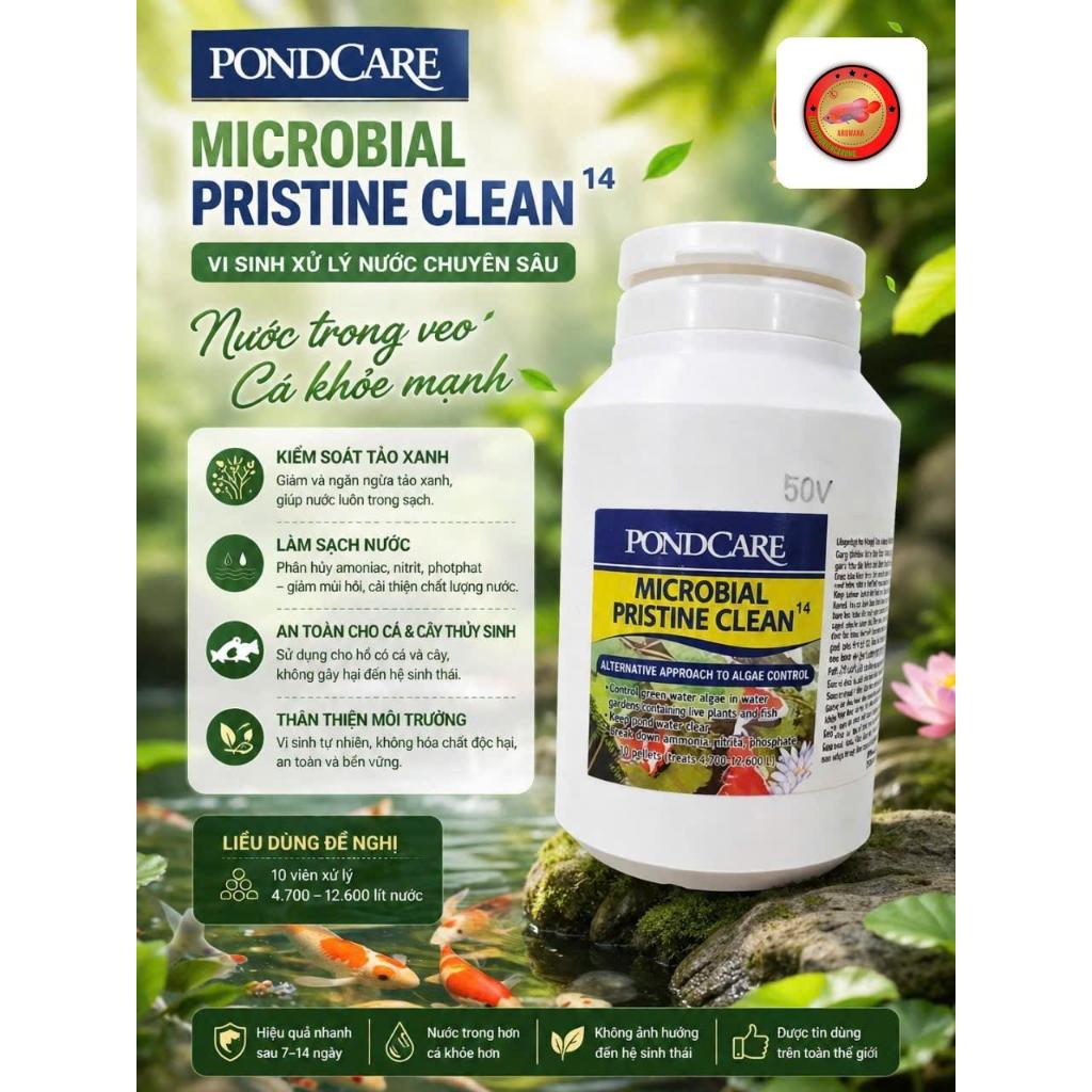 Microbial Pristine Clean14 - CLEAR 41 BẢN NÂNG CẤP - Hộp Seal -  Vi Sinh Di Dưỡng Phân Hủy Bã Hữu Cơ