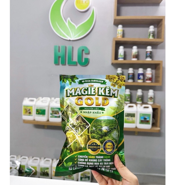 MAGIE KẼM GOLD