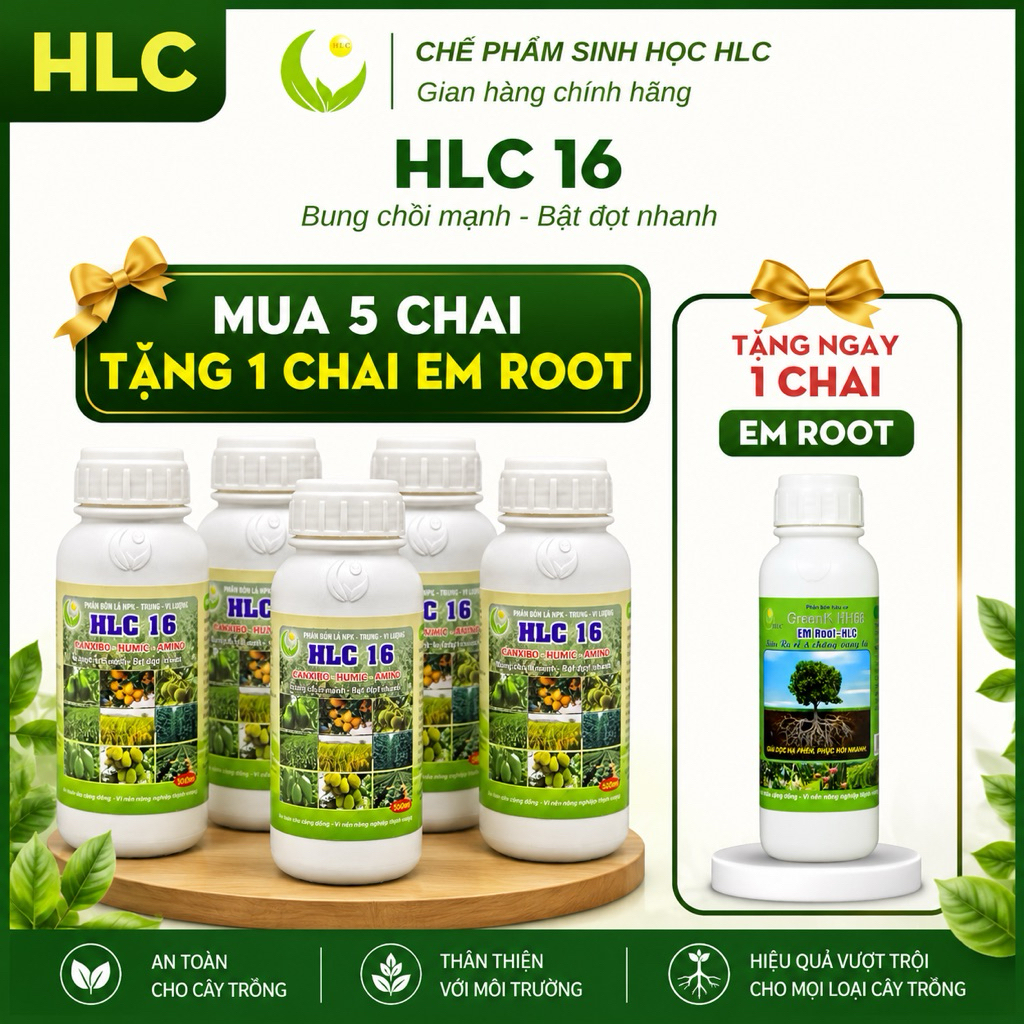 Hlc 16 bung chồi mạnh, xanh cây, dày lá chai 500ml - Hàng chính hãng