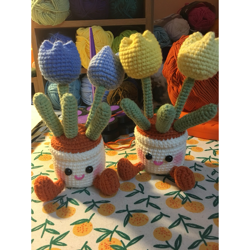 Chậu hoa tulip jelly cat bằng len