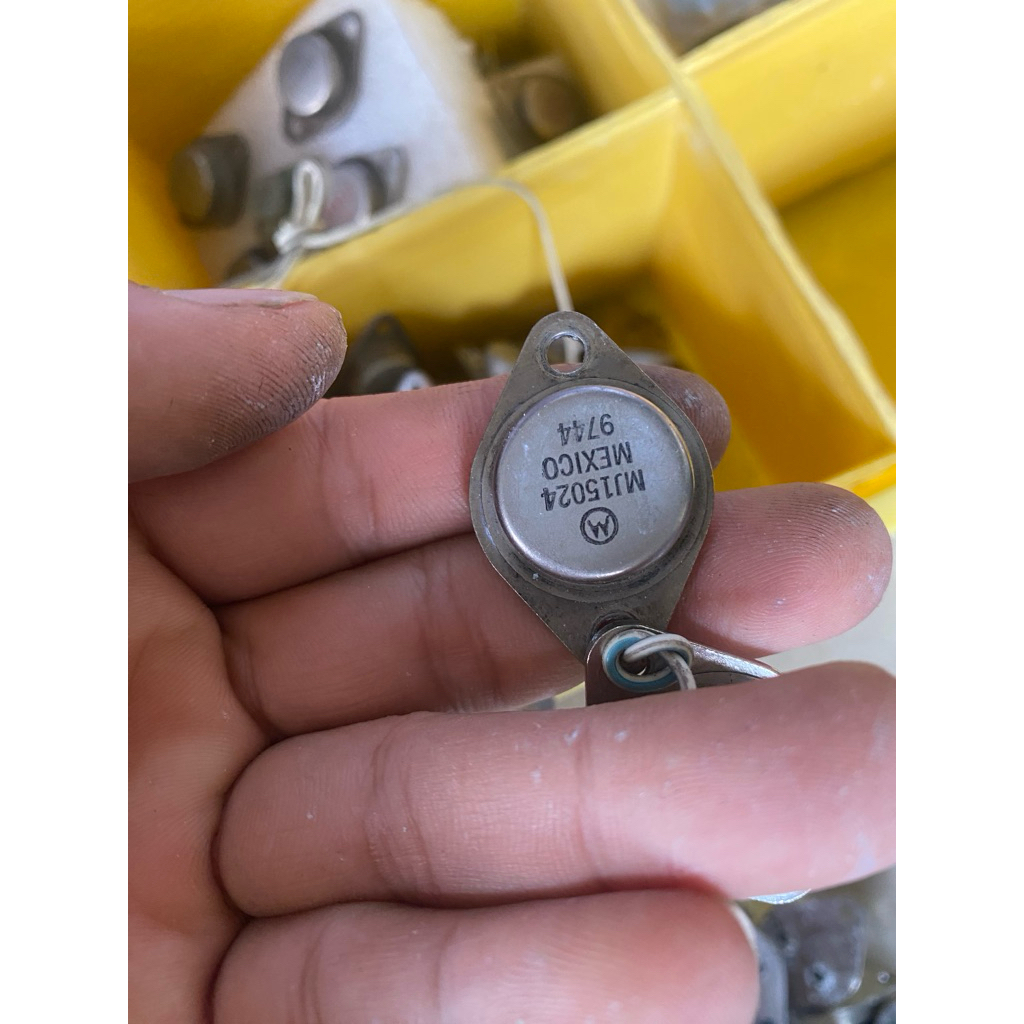 sò sắt mexico (MJ15024/ giá 1 con)