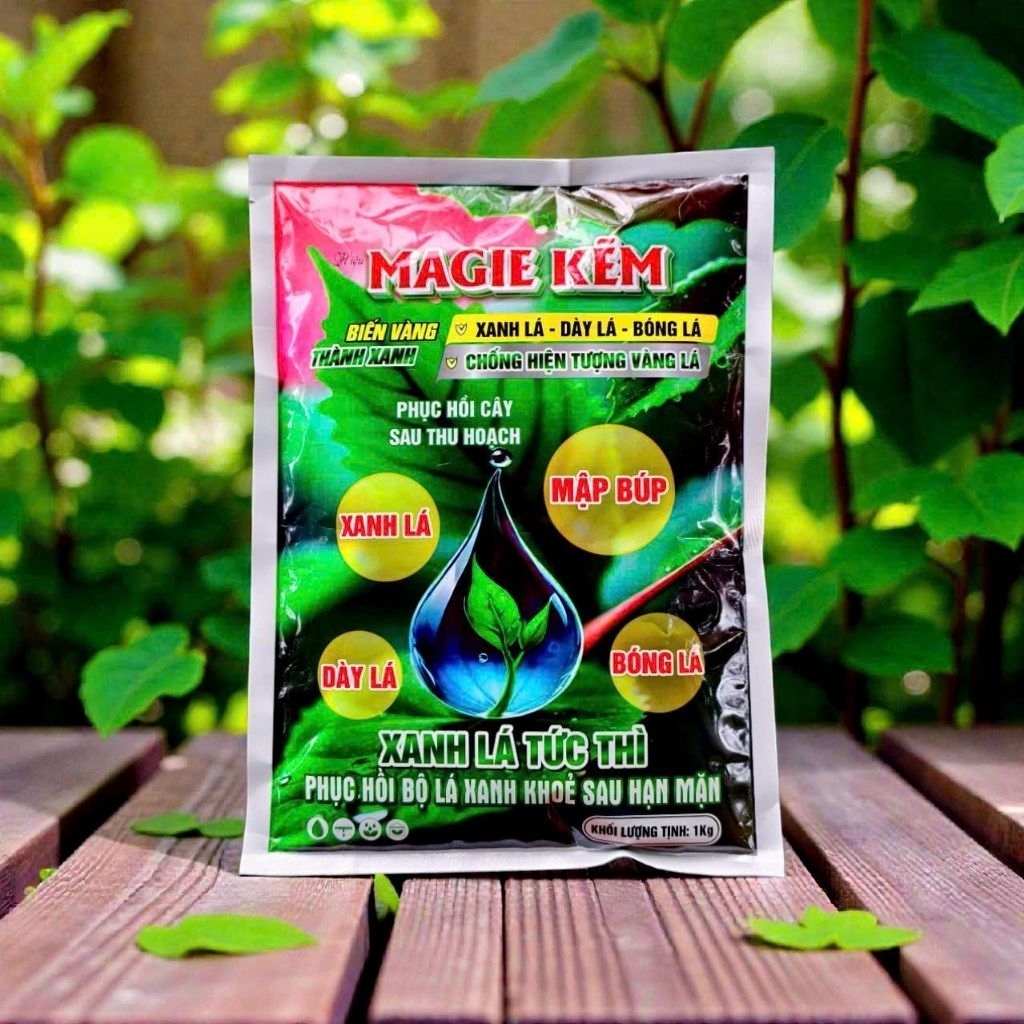 MAGIE KẼM 1KG XANH CÂY, XANH LÁ, BÓNG LÁ