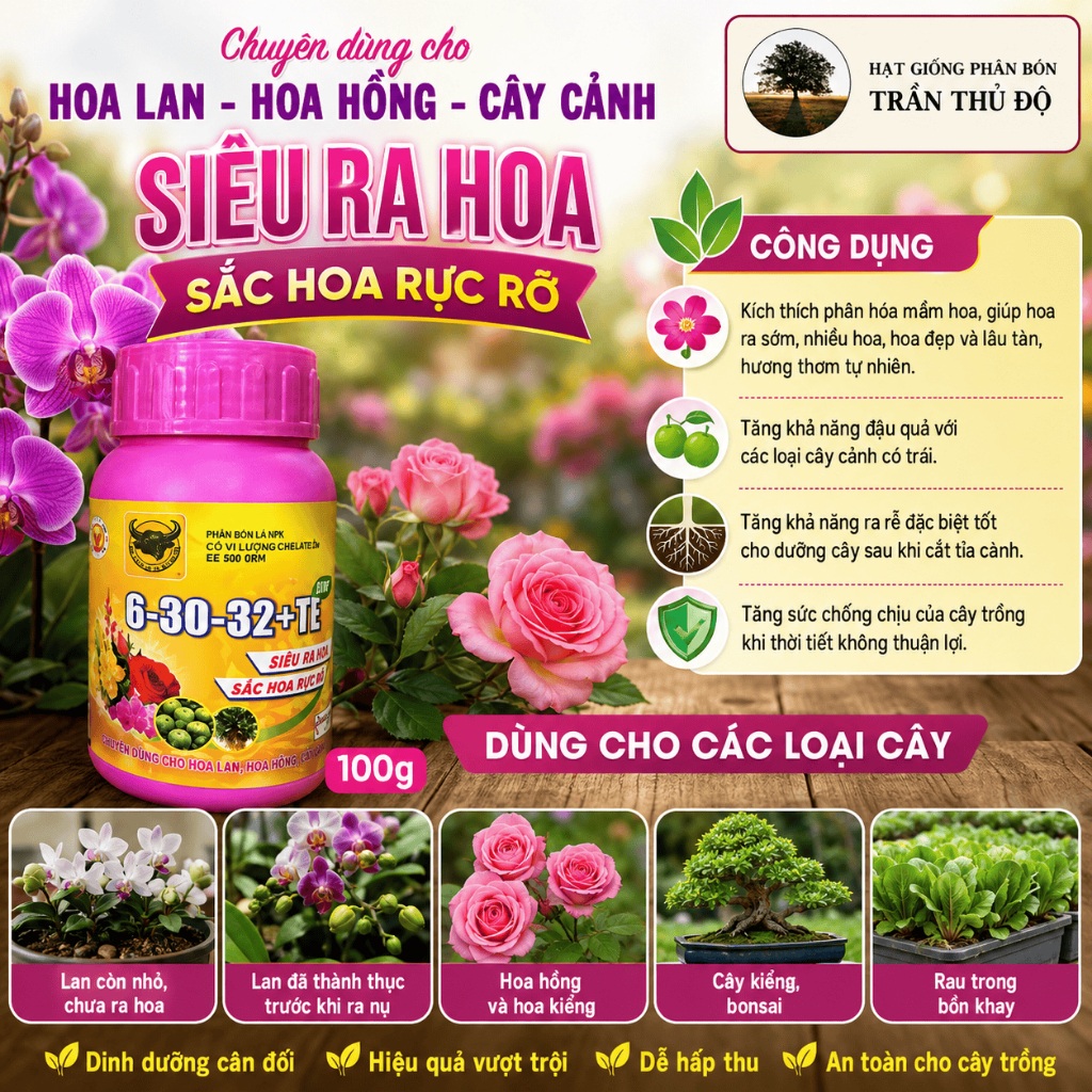 PHÂN BÓN ĐẦU TRÂU 6-30-32+TE PLUS - HỦ 100G DẠNG BỘT