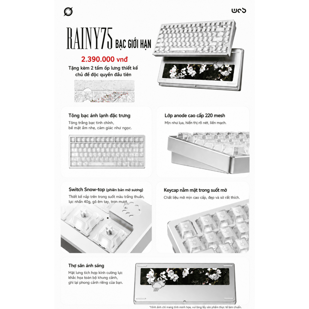 Bàn Phím Cơ Rainy75 Bạc Giới Hạn – Anode 220 Mesh | Switch Snow-top | Keycap Mờ Trong Suốt | BigBuy360 - bigbuy360.vn