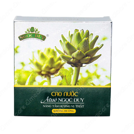 Cao Nước Actiso Không Đường NGỌC DUY Hộp 10 Ống x 10ml Cao Actiso Dạng Ống Chính Hãng