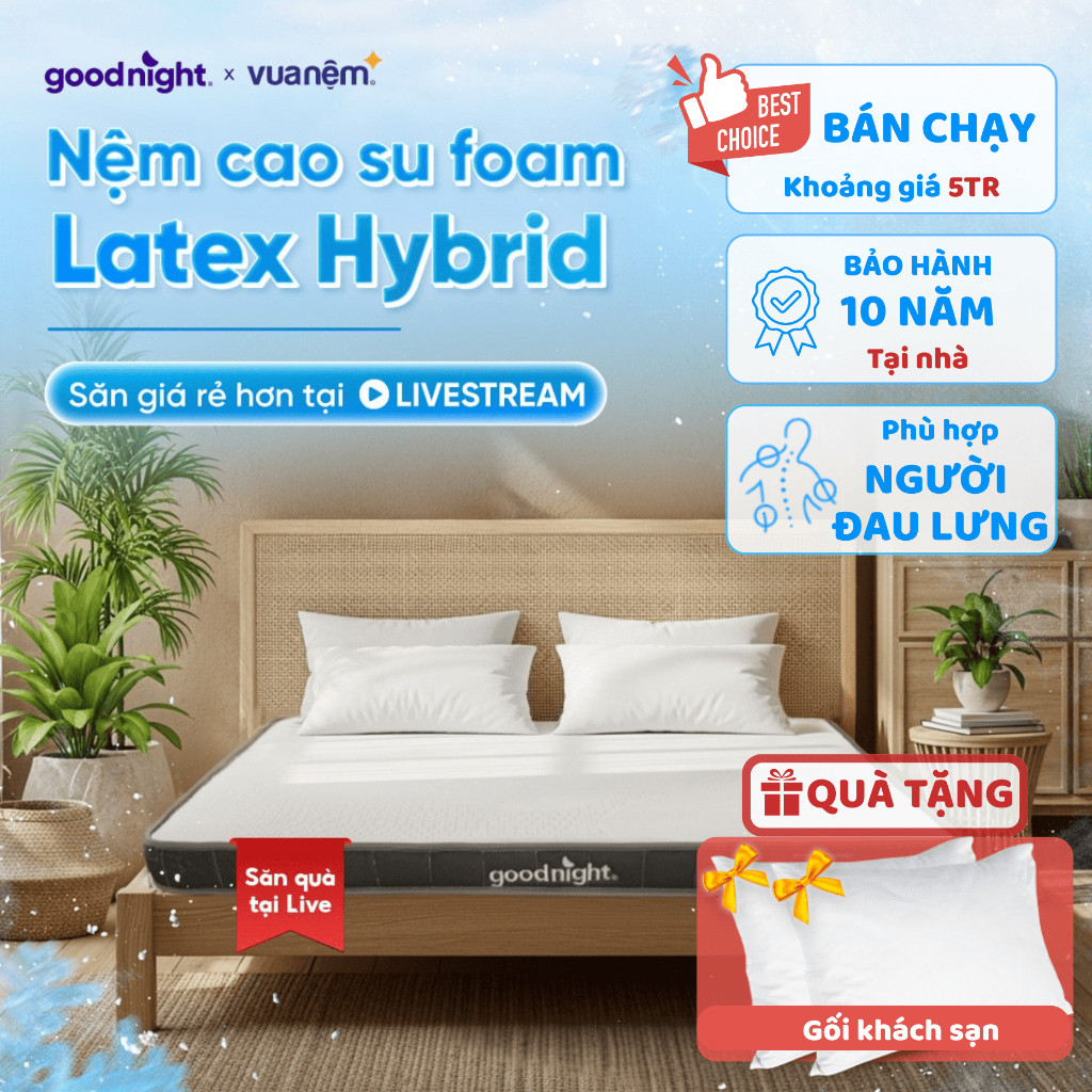 [TẶNG SET GA 3 MÓN] Nệm Cao Su Foam Vua Nệm Goodnight Latex Hybrid 10cm, Đệm Cao Su Thiên Nhiên, Nệm Gia Đình | BigBuy360 - bigbuy360.vn