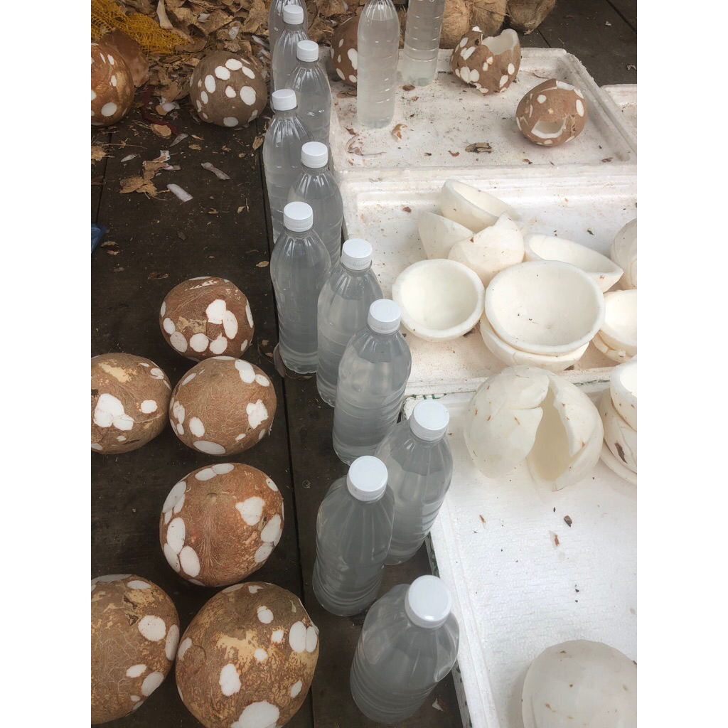 Nước dừa tươi đóng chai / cùi dừa tươi