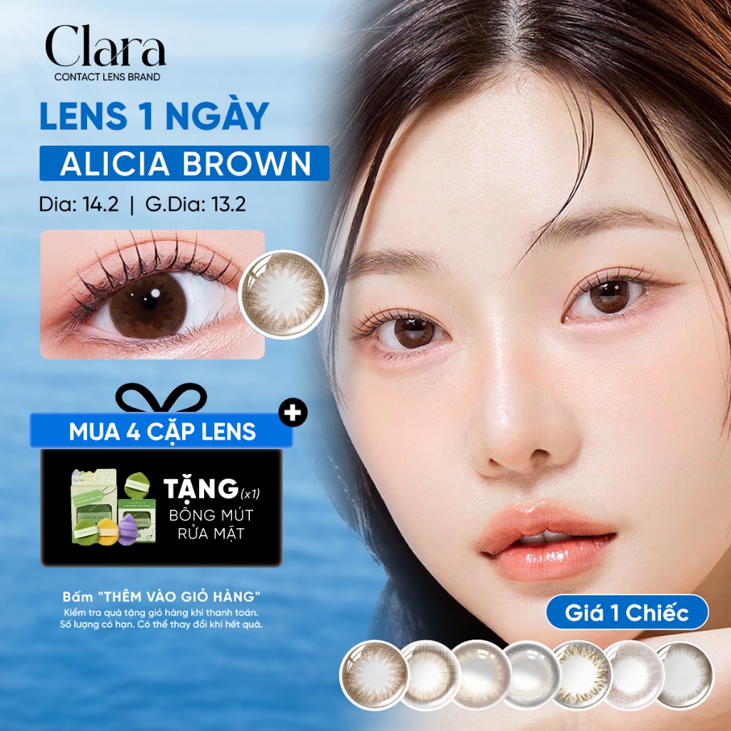 Lens 1 ngày CLALEN - Alicia Brown Hàn Quốc, Collection Màu Nâu DIA 14.2mm độ cận từ 0 đến -10.00
