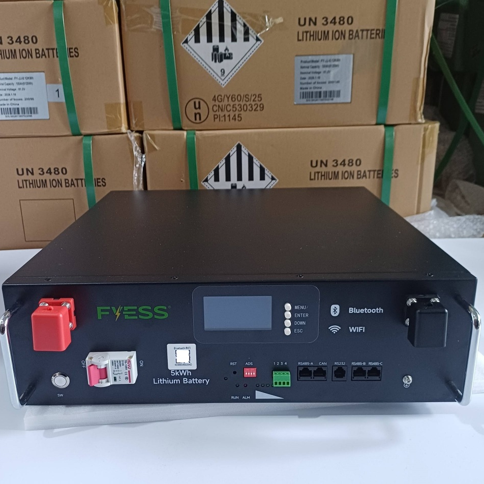 Bộ Pin Lưu Trữ 51.2V 100Ah LiFePO4 | 5.12kWh | Có CAN/RS485 | Dùng Cho Điện Mặt Trời | Hàng Chính Hã