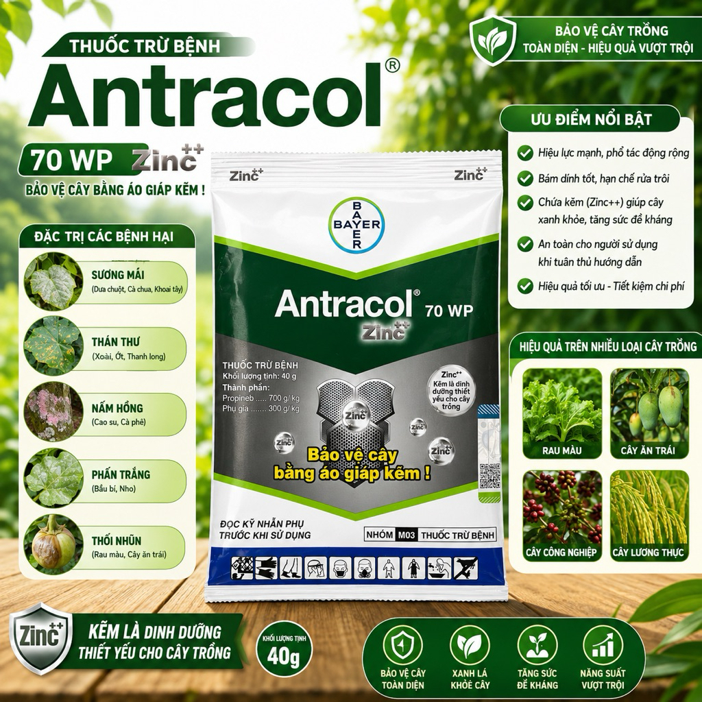 Antracol 70WP Zinc++ Áo Giáp Kẽm 40g – Thuốc Trừ Nấm Phổ Rộng, Phòng Và Trị Hiệu Quả Nhiều Bệnh Hại 