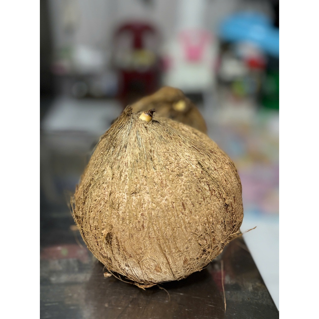 Dừa Mọng Tươi Nguyên Trái - Cùi Mềm Mọng (Trái loại to >1kg)