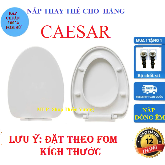 Nắp Bồn Cầu Thay Thế Cho Bồn Cầu CAESAR