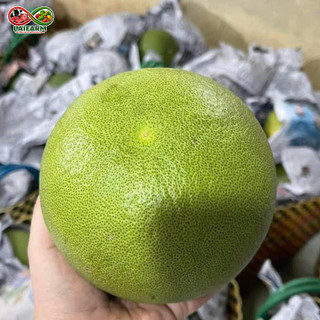 [Laifarm - Hỏa tốc HCM] Quả Bưởi Da Xanh - 1Kg -1.2Kg Đạt tiêu chuẩn xuất khẩu